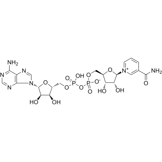 NAD+ Chemical Structure