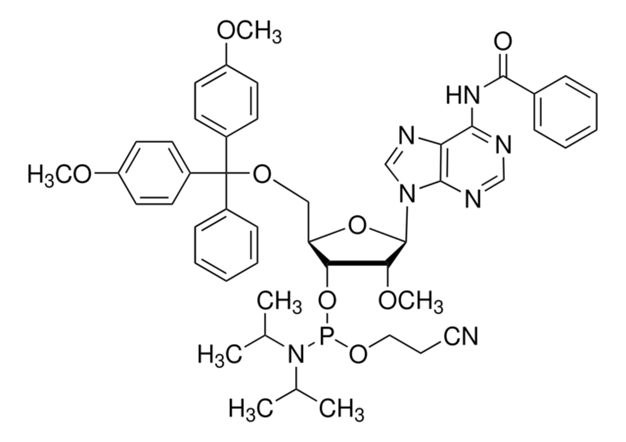 DMT-2&#8242;O-Methyl-rA(bz) Phosphoramidite configured for MerMade