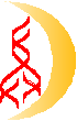 A yellow crescent moon with red lines

AI-generated content may be incorrect.