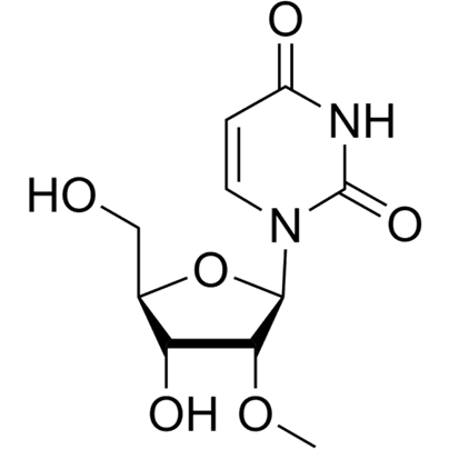 2′-O-Methyluridine Chemical Structure